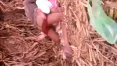 Village girl outdoor fucked by lover in sugarcane field