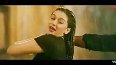 Hansika cum tribute